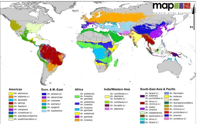 Figure 10 – Carte du monde représentant les espèces d’anophèle dominantes dans la transmission du paludisme (d’après (Sinka et al