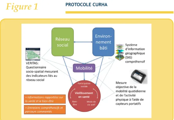 Figure 1 PROTOCOLE CURHA