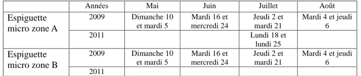 Tableau 2: Campagne des journées de comptages sur l’Espiguette en 2009 et 2011 dans le cadre du LIFE  LAG’Nature 