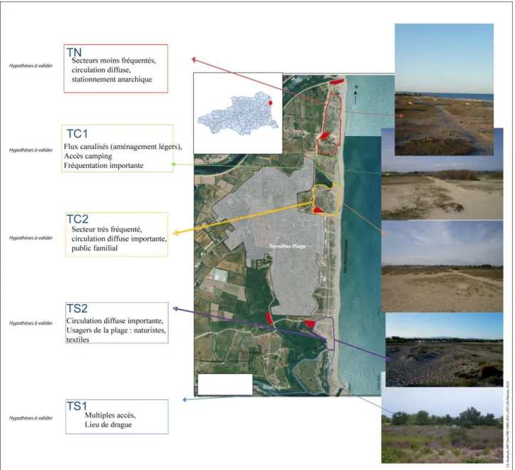 Figure 4 : Secteurs observés sur la plage de Torreilles et hypothèses à vérifier