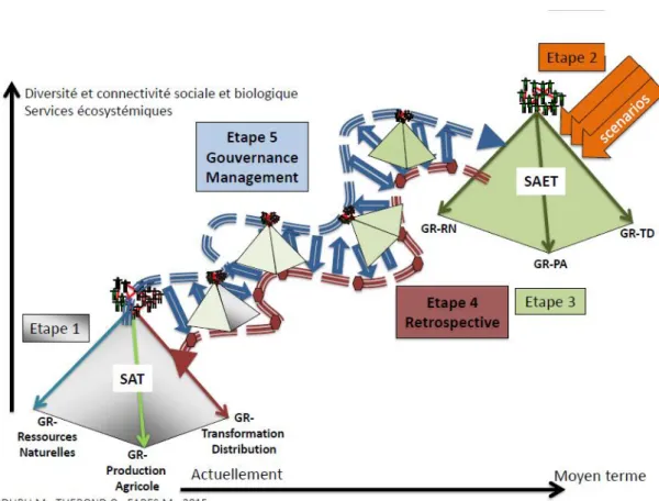 Figure 5: La transition agroécologique dans un processus itératif en 5 étapes  Source : DURU M., THEROND O., FARES M, 2015 