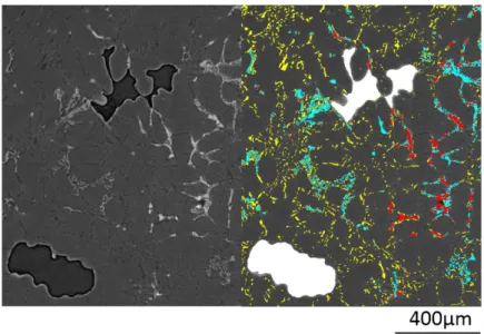 Figure  6 :  Comparaison  entre  coupe  tomographique  (à  gauche)  issue  d’une  image  de  tomographie  synchrotron  de 