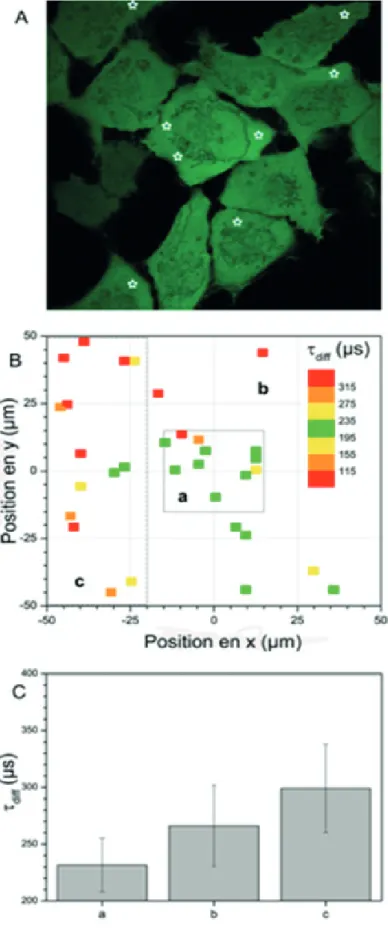 Figure 15  :  Temps de diffusion en fonc- fonc-tion  de  la  posifonc-tion de mesures sur des 
