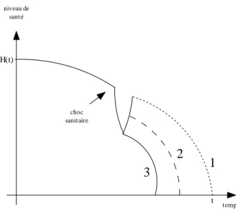 Fig. 2-2 –Les di¤érents types de choc sanitaires. Source : Cou¢ nhal 1999
