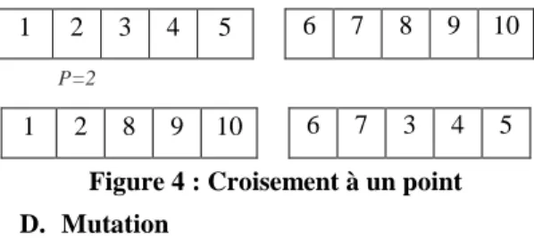 Figure 6 : Exemple d’individu de  Pvehicule