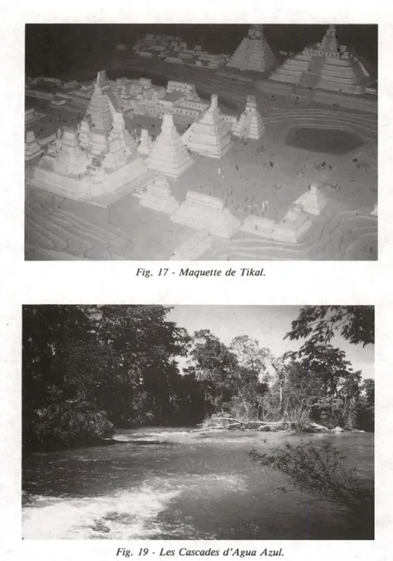 Fig.  17 -  M aquette  de  Tikal.