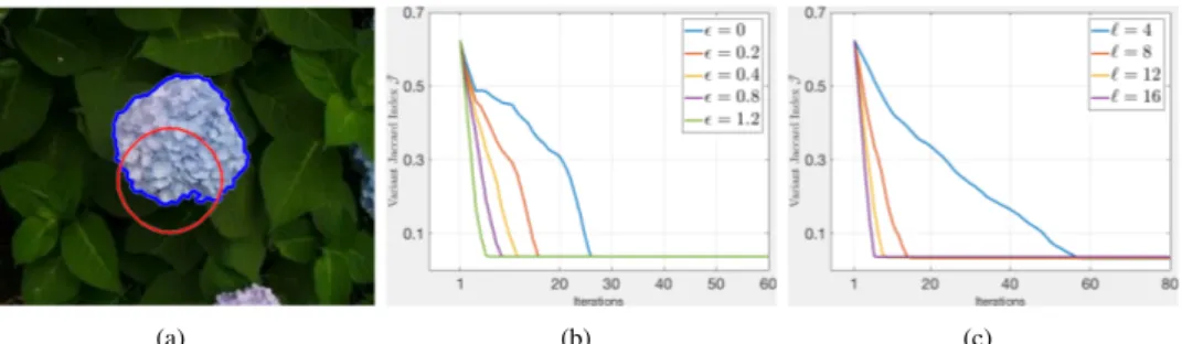 Figure 4: Convergence rates for different values of ε and `. (a) The initial contour (red curve) and the segmentation (blue curve)