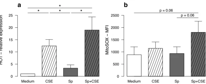 Figure  6:  In  vitro  exposure  to  cigarette  smoke  extract  (CSE)  induced  an  oxidative  stress  in 