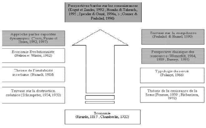 Figure 13 : Les différents courants de la perspective basée sur les ressources