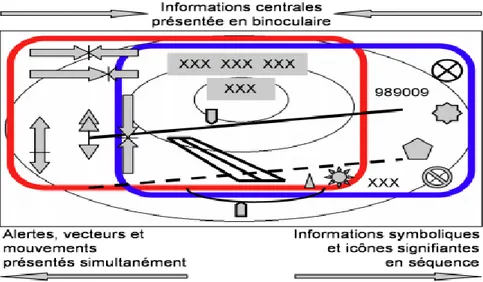 Figure IV-13. Principe de présentation informationnelle périphérique respectant la latéralité périphérique du  champ de vision (œil gauche en rouge, œil droit en bleu) [125][126] 