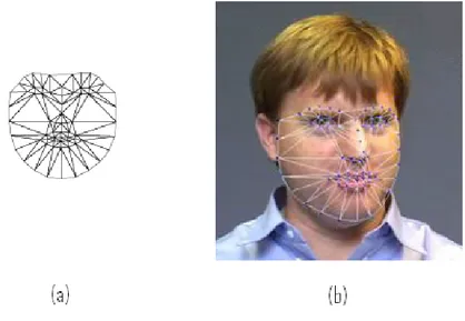 Figure 2.3: (a) Un mod` ele AAM de base. (b) Mod` ele AAM appliqu´ e sur un visage.