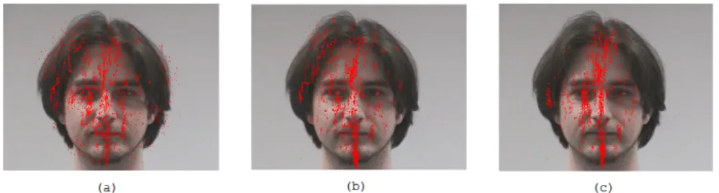 Figure 3.6: Points appartenant aux axes de sym´ etrie d´ etect´ es. (a) α ∈ [45 ◦ , 135 ◦ ]