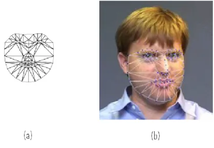 Figure 2.3: (a) Un mod`ele AAM de base. (b) Mod`ele AAM appliqu´e sur un visage.