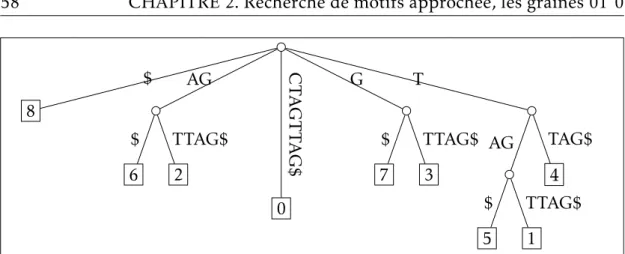 Figure 2.2 – L’arbre compact des suffixes pour le mot CTAGTTAG$. Chaque chemin unaire de l’arbre des suffixes est fusionné en une seule branche.