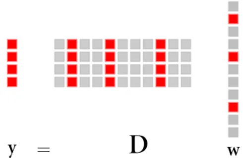 Figure 2.1 – y est éparse sur D : seuls quelques coefficients sont actifs (non nuls) dans w.