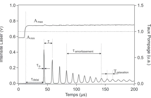 Fig. 1.6 – Réponse du laser à une modulation en échelon entre A min = 0, 88 et A max = 1, 12
