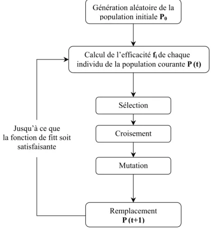 Fig. 1.9 – Structure élémentaire d’un algorithme génétique.