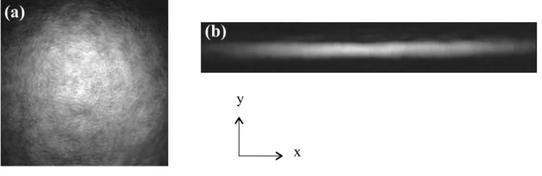 Fig. 3.2 – Faisceaux de pompe ; (a) mode TEM 00 dans la configuration à deux dimensions, (b) faisceau “cigare” pour l’étude à une dimension
