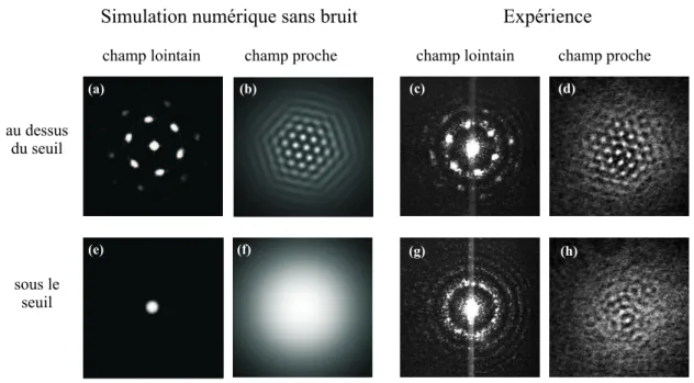 Fig. 3.7 – Comparaison entre les structures transverses prédites numériquement sans bruit (a,b,e,f) et celles obtenues expérimentalement (c,d,g,h) pour une intensité incidente supérieure au seuil (a-d) et inférieure au seuil (e-f).