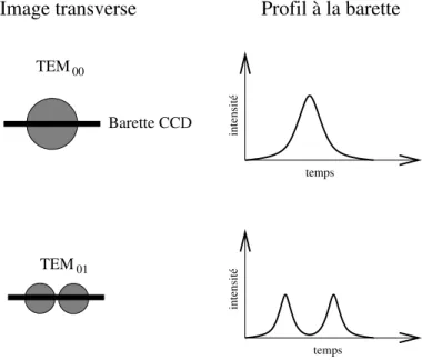 Fig. 2.18: Repr´esentation sch´ematique des profils transverses observ´es avec la barrette