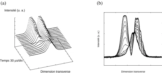 Fig. 2.20: (a)Evolution des profils transverses vus par la barette au cours du temps.