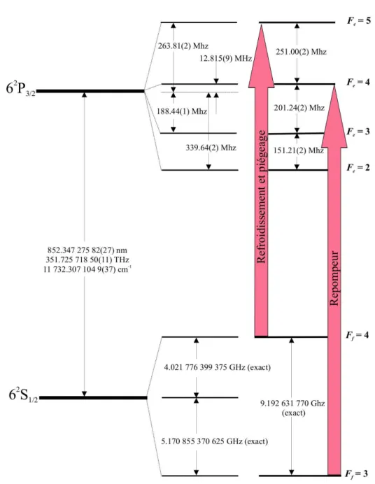 Figure 2.1.: Transition D 2 de l’atome de Césium (adapté de [56]). Le faisceau piège est