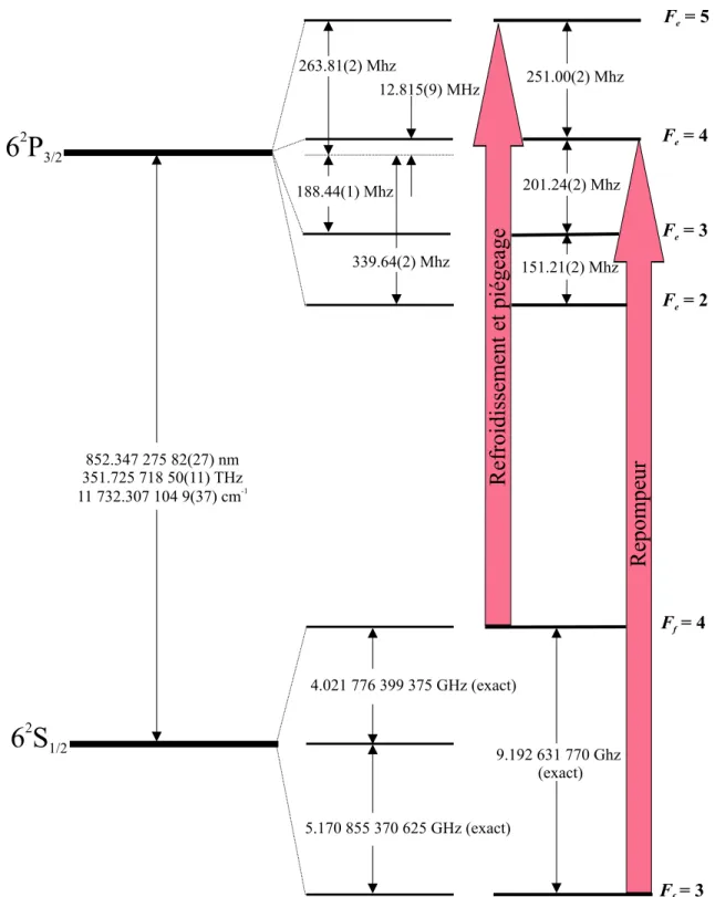 Fig. 1.3  Niveaux d'énergie du césium impliqués dans l'ensemble de notre expérience de rotateur pulsé