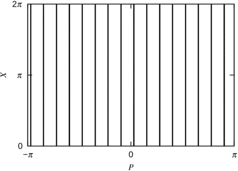 Fig. 2.2  Portrait de phase du rotateur libre (K = 0), exclusivement composé de trajectoires pour lesquelles P est constant.