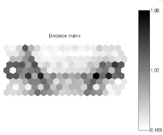 Fig. 1. Graphical Presentation of the Kohonen map (distances between the neurons).