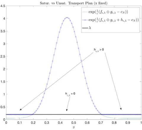 FIGURE 1. Vertical Slice of saturated versus non saturated transport plans.