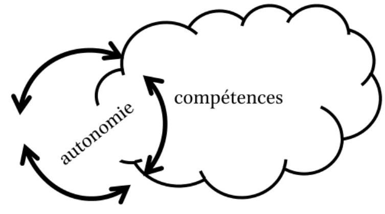 Figure 4 :  Superposition des pôles « autonomie » et « compétences » 