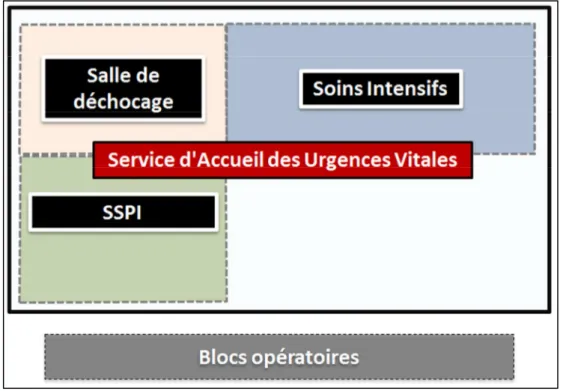 Figure 1 – Représentation schématique du service d’Accueil des Urgences Vitales (SAUV)