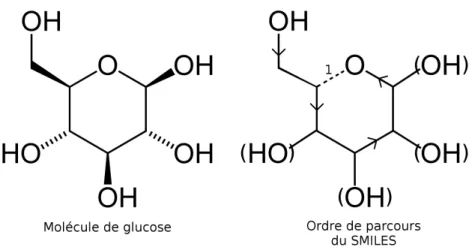 Figure 4: Molécule de glucose et son ordre de parcours dans le SMILES cyclique exemple.