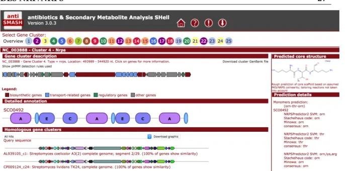 Figure 1.17: Exemple de résultat d’antiSMASH pour un cluster NRPS au sein du génome de Streptomyces coelicolor