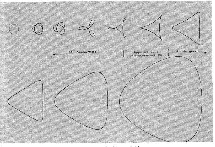 Fig. 20 : Ensemble d'hypocycloïdes