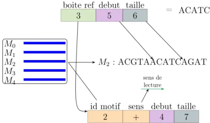 Figure 3.4 : Une boite ref BR(3, 5, 6) codant la sous-séquence ACATCA. Nous utili- utili-sons des éléments d’une boite normale de la même séquence, se trouvant deux boites avant la boite actuelle, cela nous permet d’avoir accès à l’identifiant de la séquen