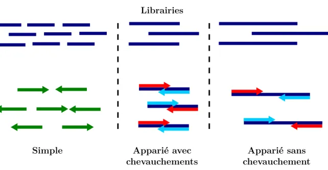 Figure 1.9 – Stratégies de séquençage simple et apparié
