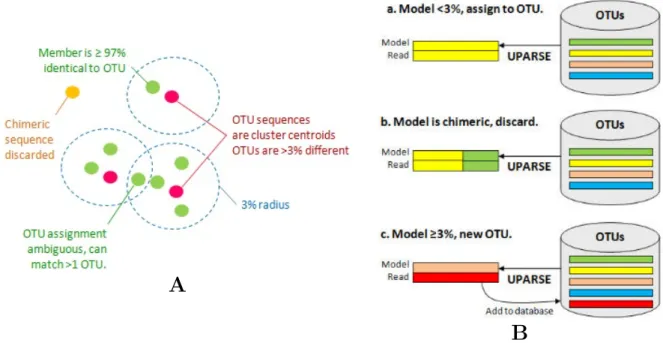 Figure 2.7 – Exemple d’un algorithme de partitionnement, tel qu’implémenté dans UPARSE [ 23 ]