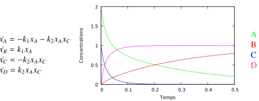 Fig 1.5: Exemple de système d’équations di fférentielles et de l’évolution des con- con-centrations des réactions de la Fig