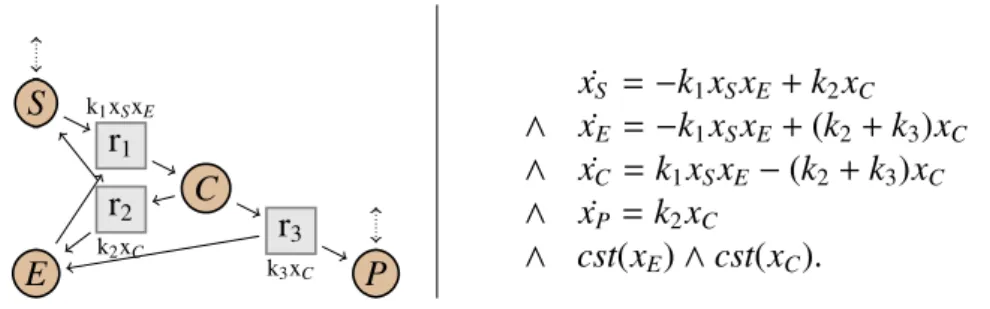 Fig 2.19: Graphe et système du réseau cinétique de Michaelis-Menten.