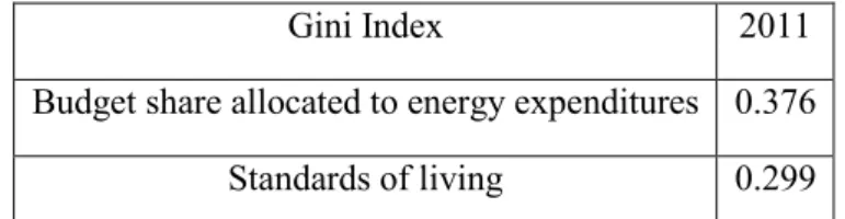 Table 6: Gini index in 2011 for the budget share allocated to energy expenditures and for the standards  of living