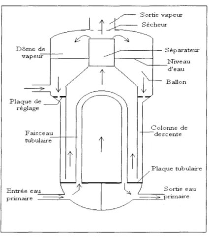 FIG.  1.4  - Générateur  de  vapeur  à  circulation  naturelle 