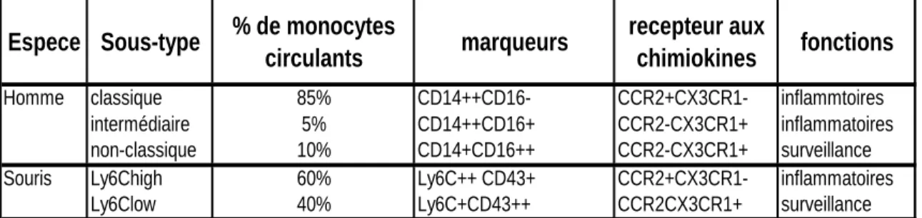 Table 1. Les différents sous-types de monocytes chez l’homme et chez la souris 