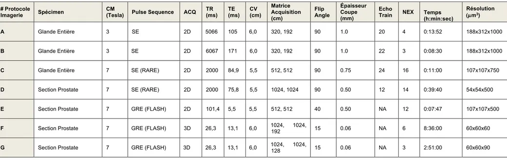 Tableau 3 - Protocoles de paramètres d'acquisition d'imagerie de haute résolution 3 Tesla et 7 Tesla IRM 