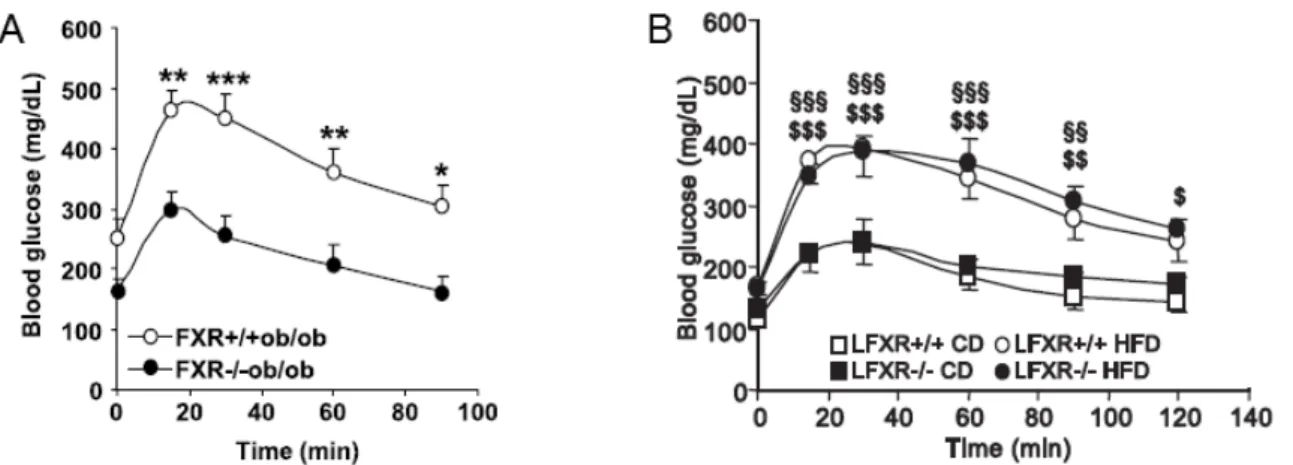 Figure O1: L’invalidation de FXR est bénéfique pour la glycémie des souris obèses (D’après Prawitt et al.,  Diabetes 2011)