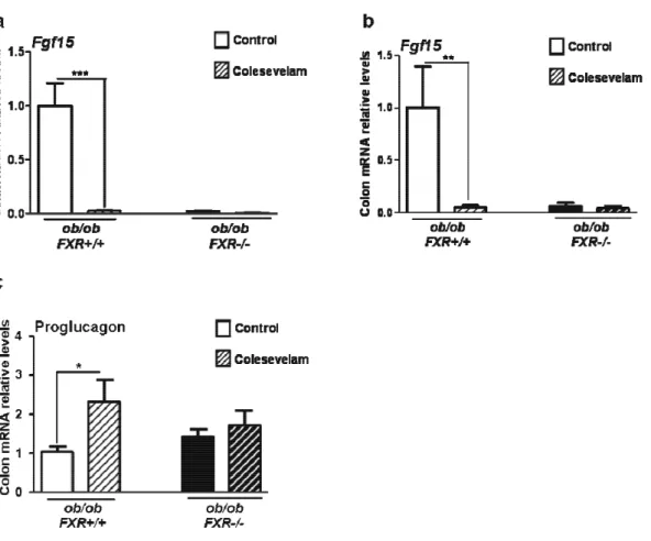Figure  8.  FXR  de-activation  improves  glucose  metabolism  in  ob/ob  mice.  OGTT  after  2  weeks  of  vehicle  or  colesevelam  treatment  in  ob/ob  Fxr+/+  (a)  and  ob/ob  Fxr-/-  mice  (b)
