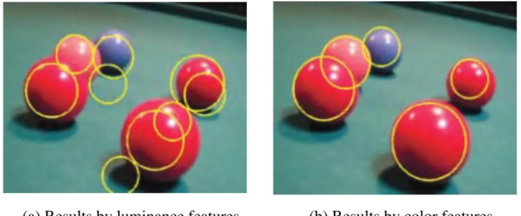 Fig. 2.8 Object detection based on luminance features and color features. [ 38 ] • Color Correction