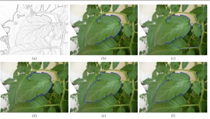Fig. 11 Influence of energy terms on the final segmentation: (a) Potential, (b) Comparison against GLAC without deformation (piecewise-geodesic curve), Combination of paths with (c) edge term only (d) edge and region terms (e) edge and simplicity terms and