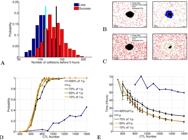 Figure 1.4: The probability of tumor nodule eradication increases with