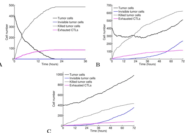 Figure 1.5: Evolution of the number of cells over time as a function of the